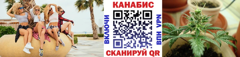 Каннабис MAZAR Судогда